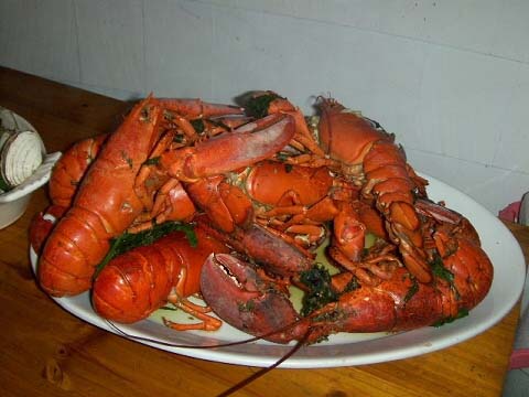 a-lobsters.jpg